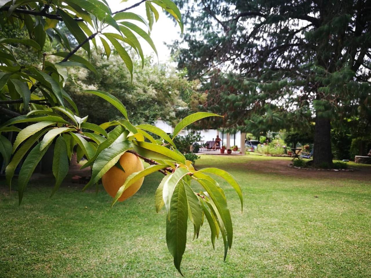 El Maná Vila Bialet Massé Exterior foto